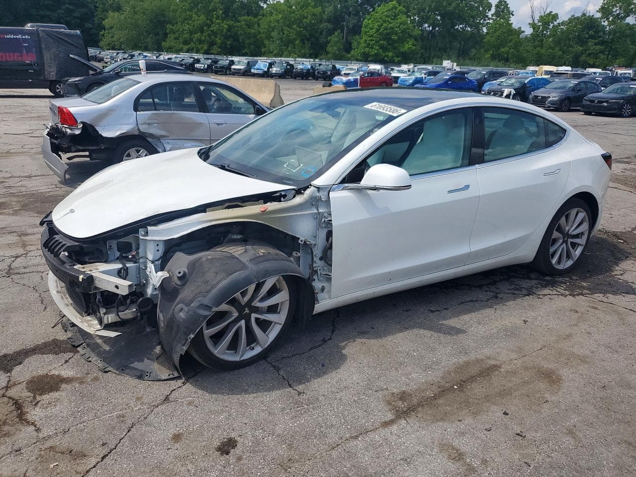 Tesla Model 3 2020 z USA