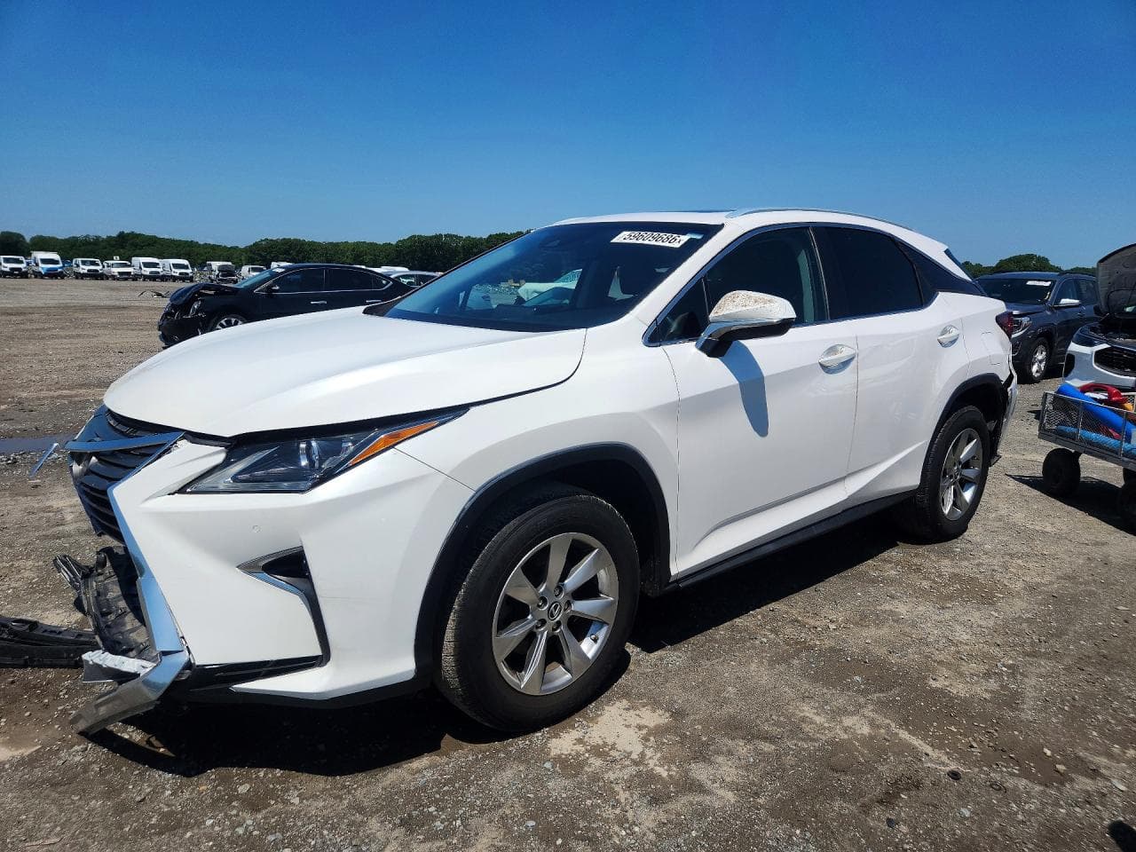 Lexus RX 2019 z USA