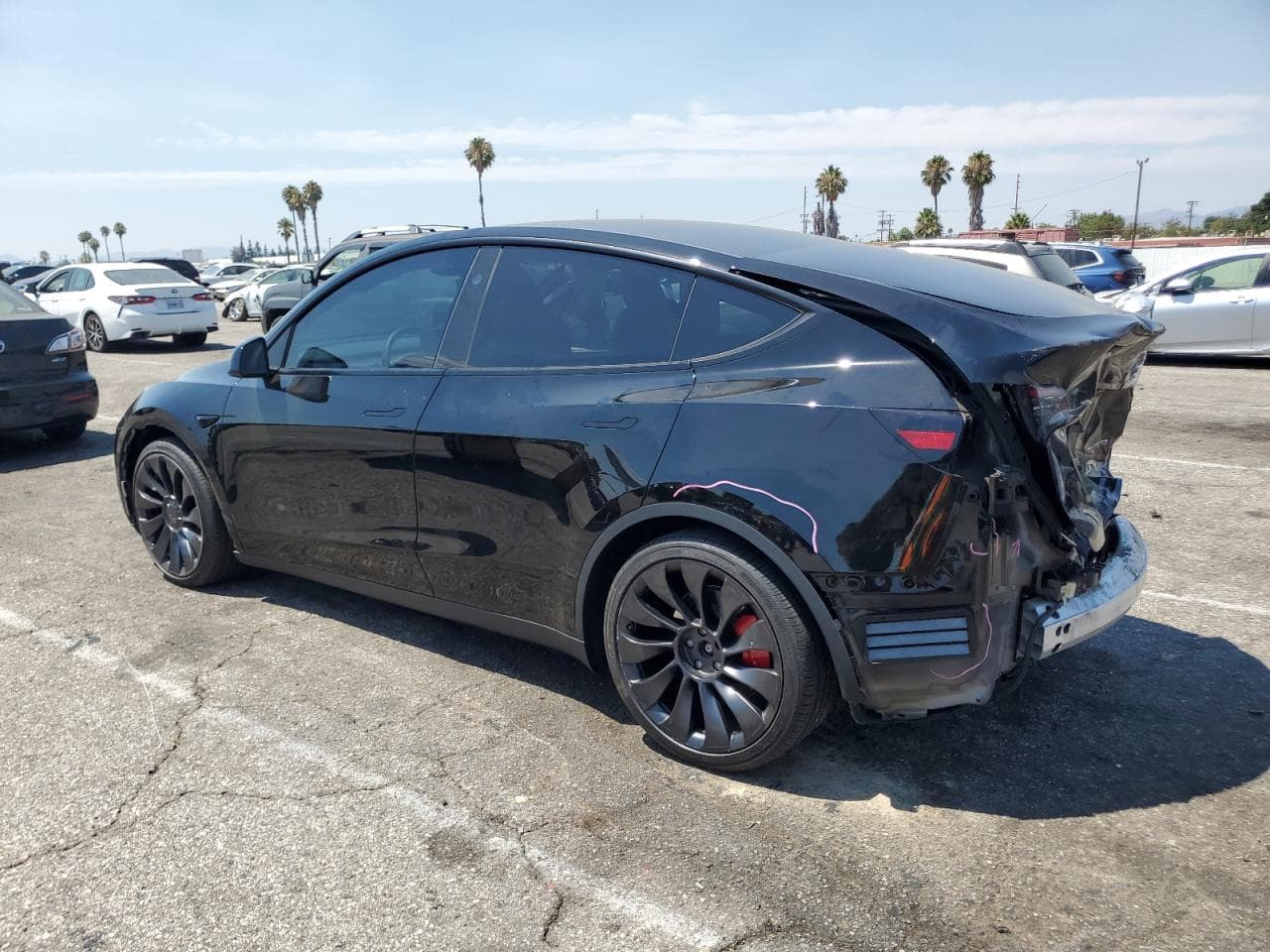 2024 Tesla Model Y - foto 2