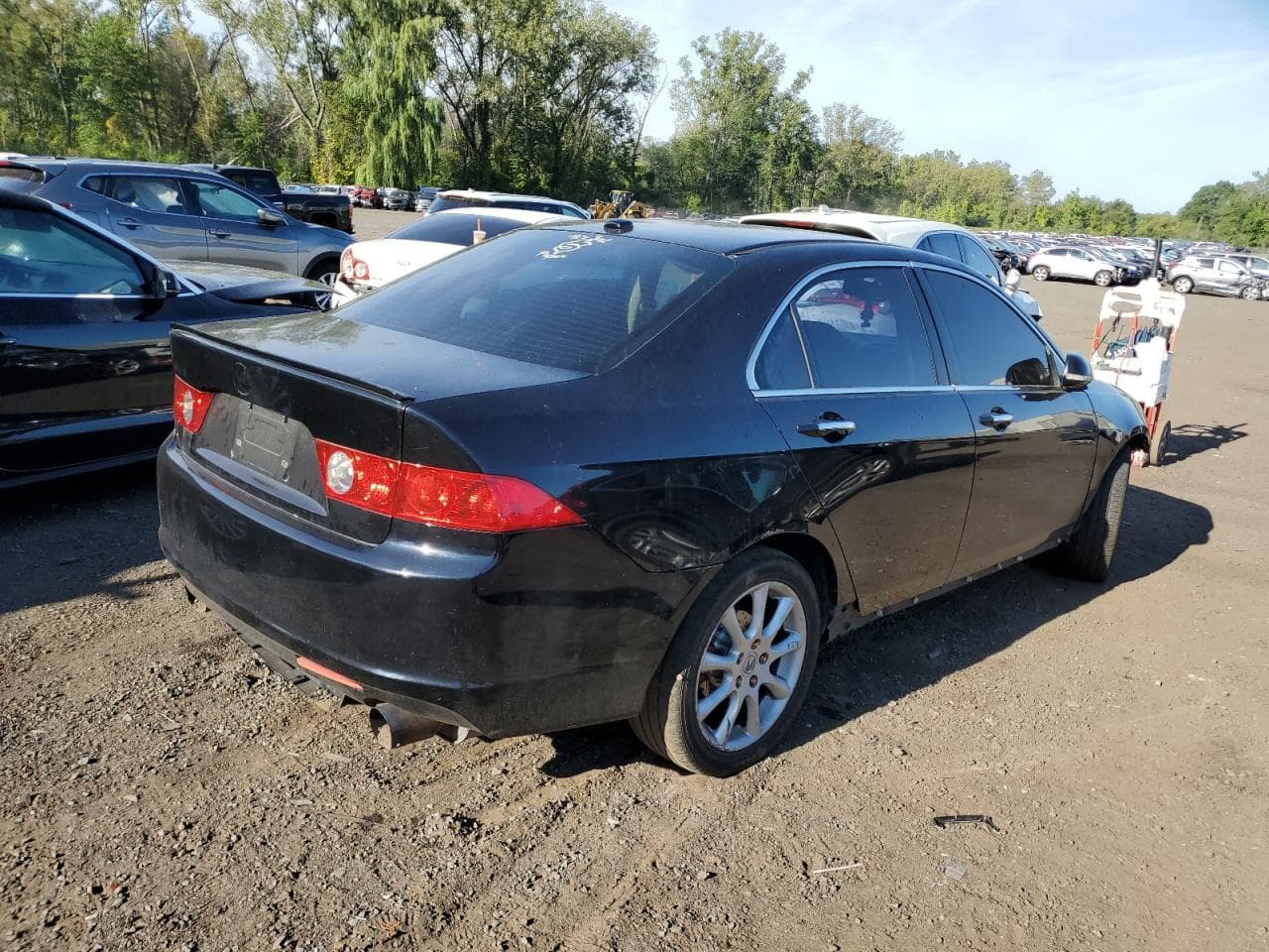 2007 Acura Tsx - foto 3