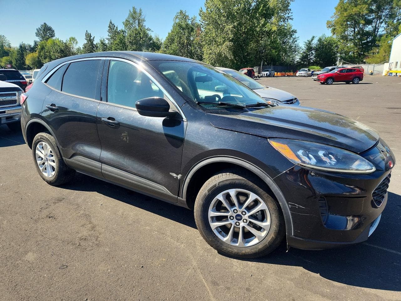 2020 Ford Escape Se - foto 4