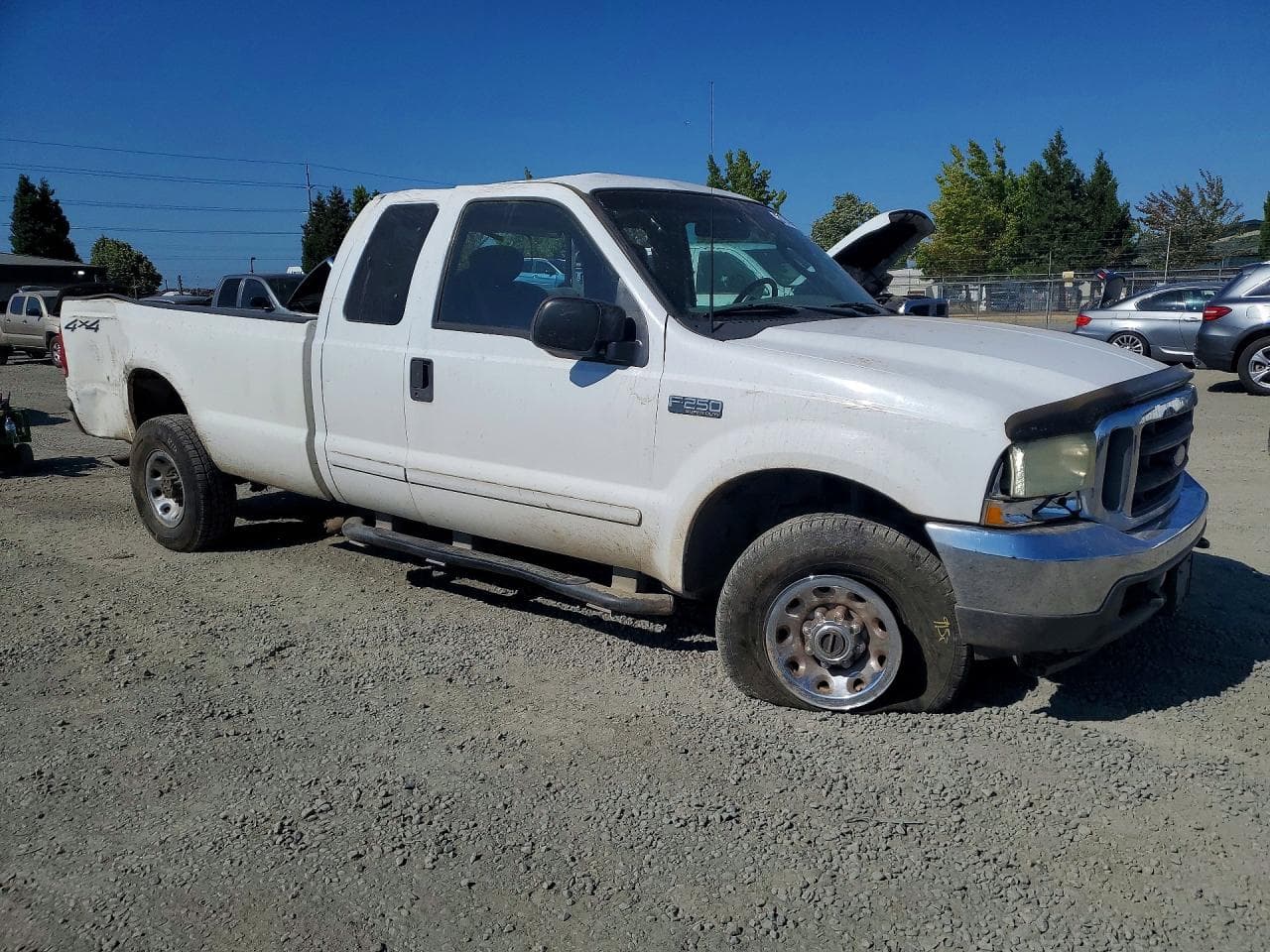 2003 Ford F250 Super Duty - foto 4