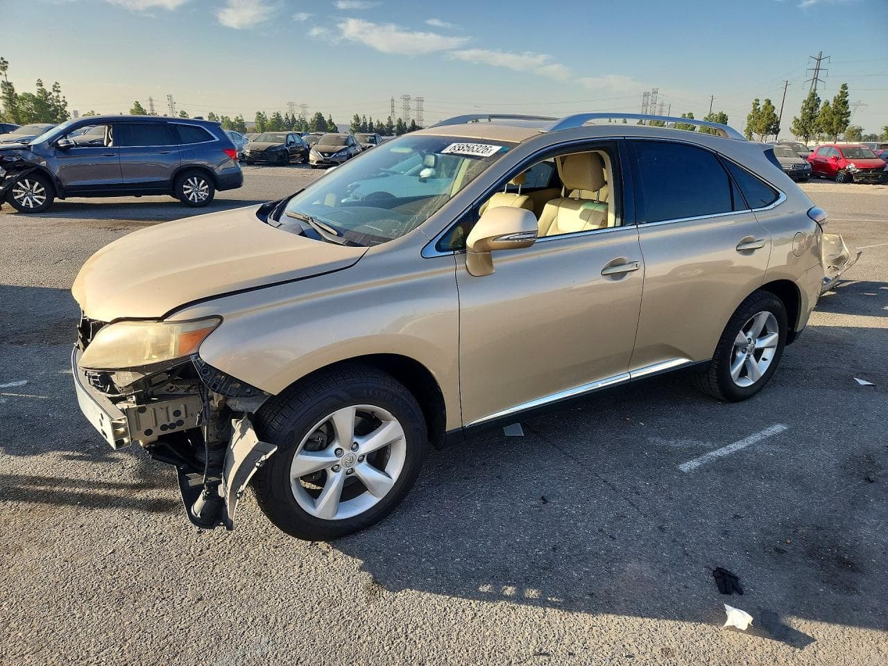 Lexus RX 2010 z USA
