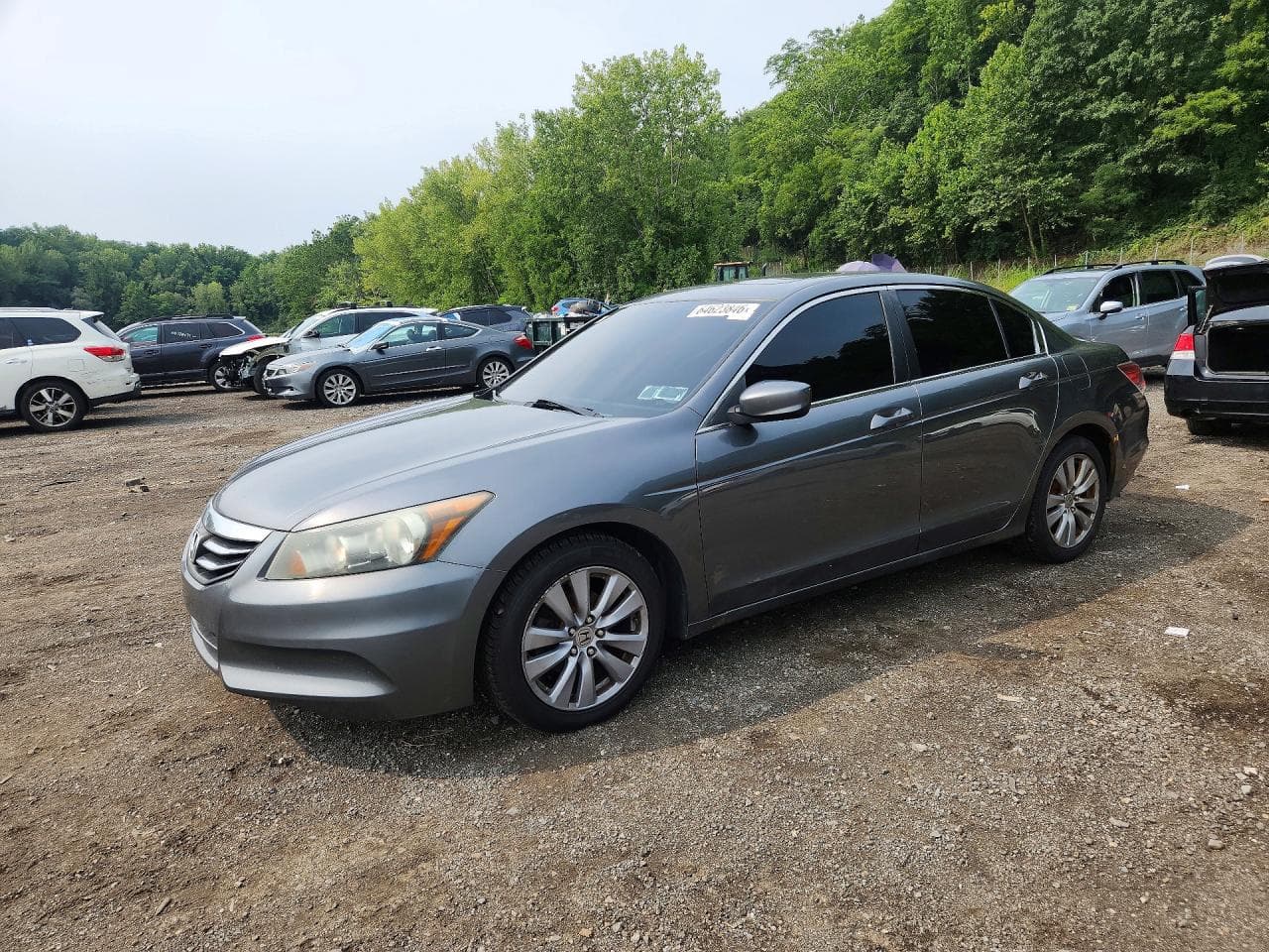 Honda Accord 2011 z USA