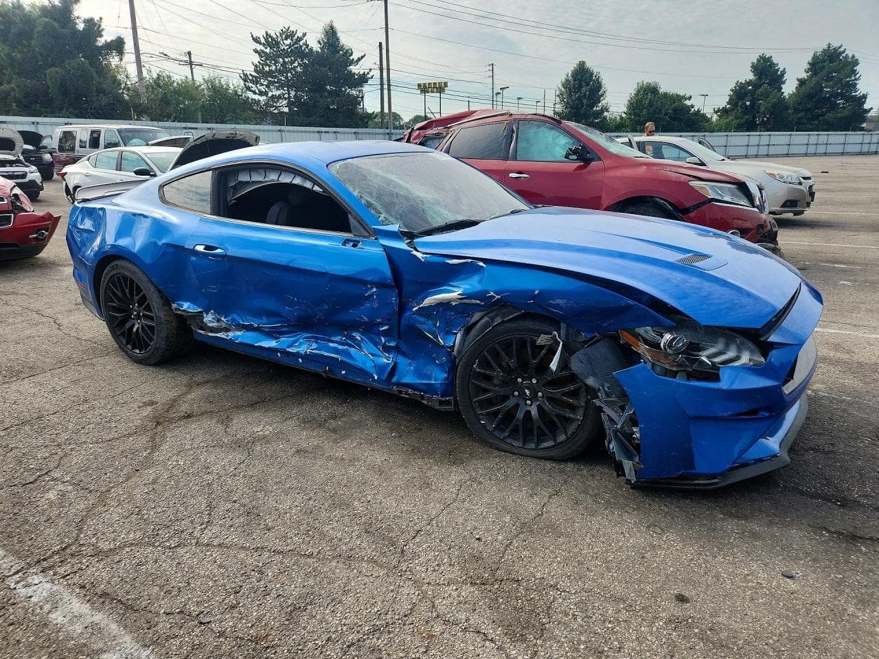 2019 Ford Mustang Gt - foto 4