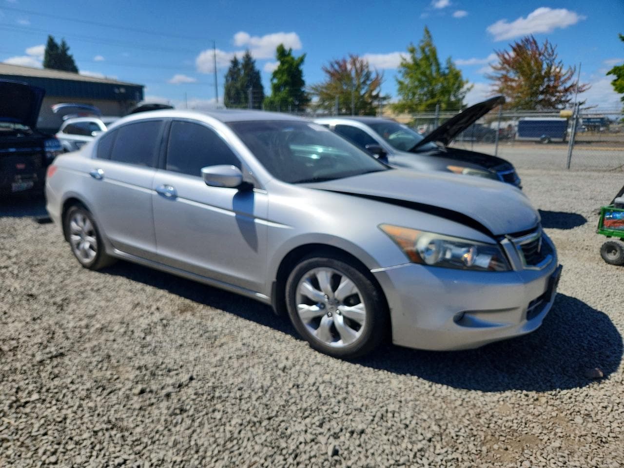 2009 Honda Accord Exl - foto 4