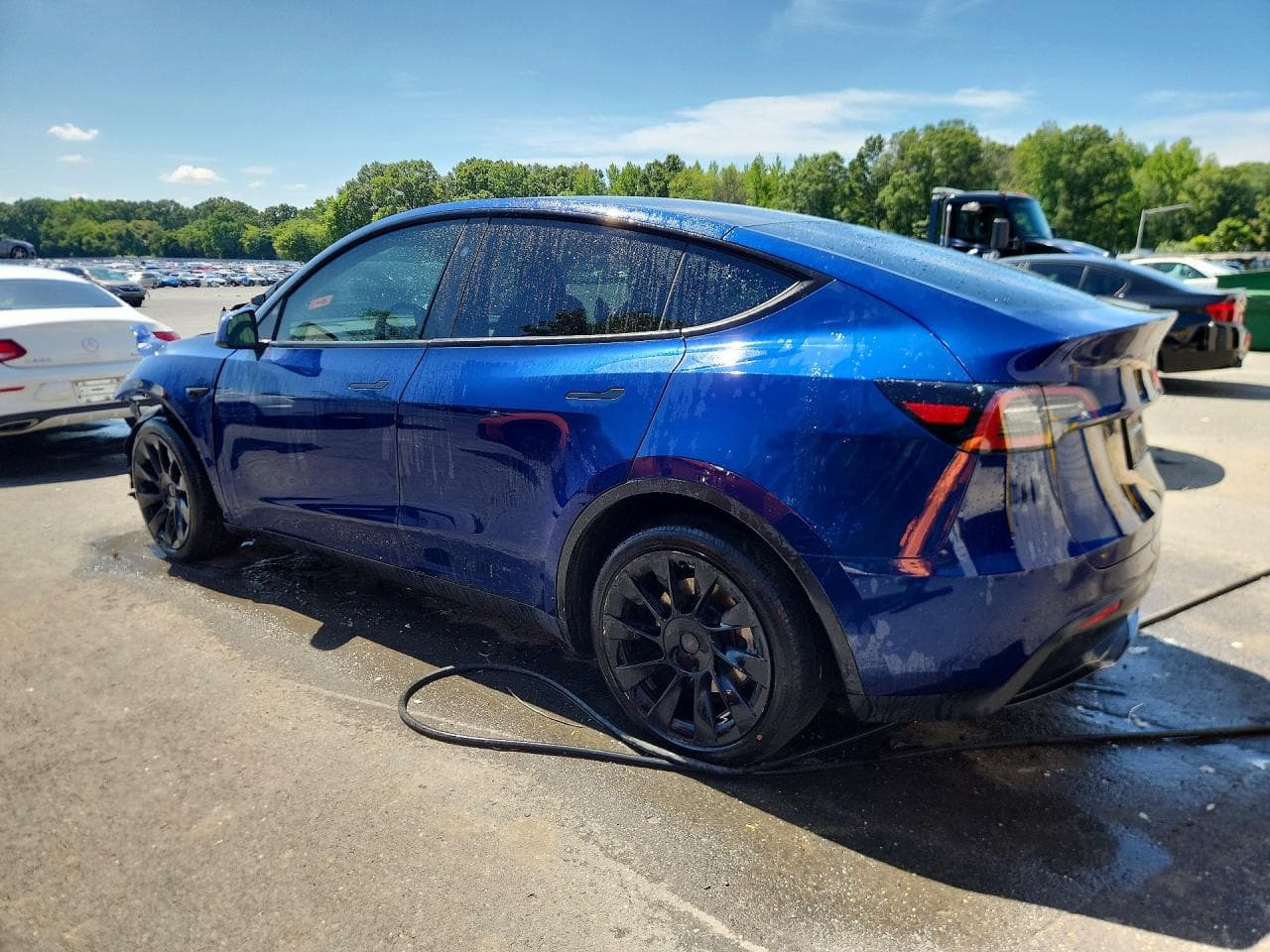 2024 Tesla Model Y - foto 2