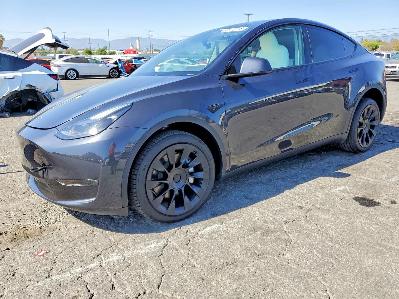 Tesla Model Y 2024 z USA