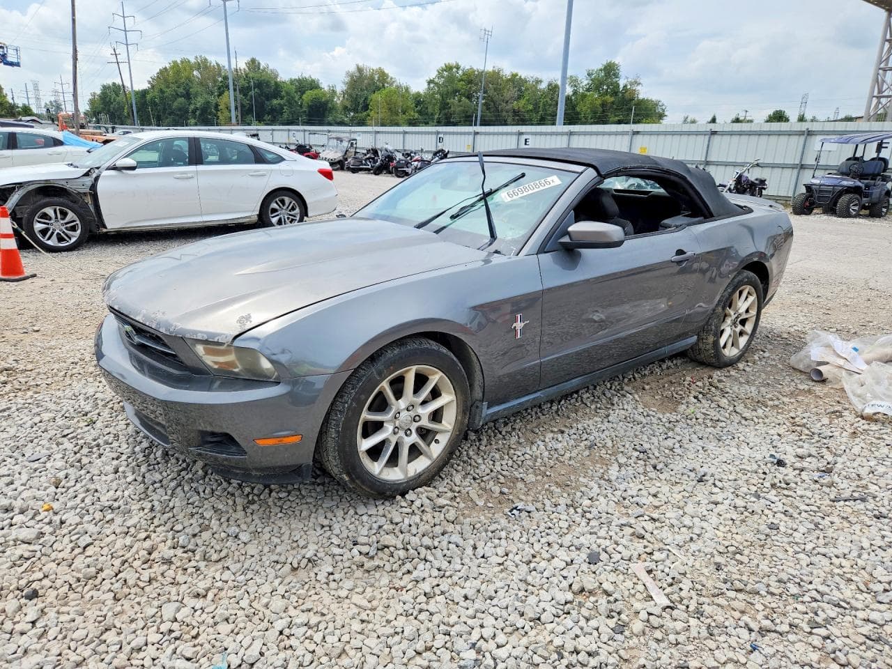 Ford Mustang 2010 z USA