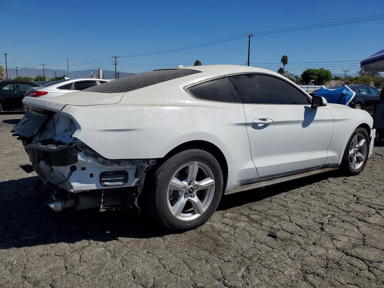 2019 Ford Mustang - foto 3