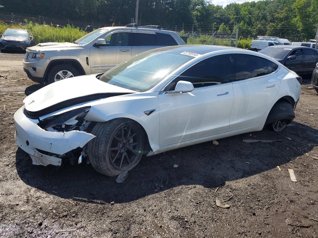 Tesla Model 3 2019 z USA
