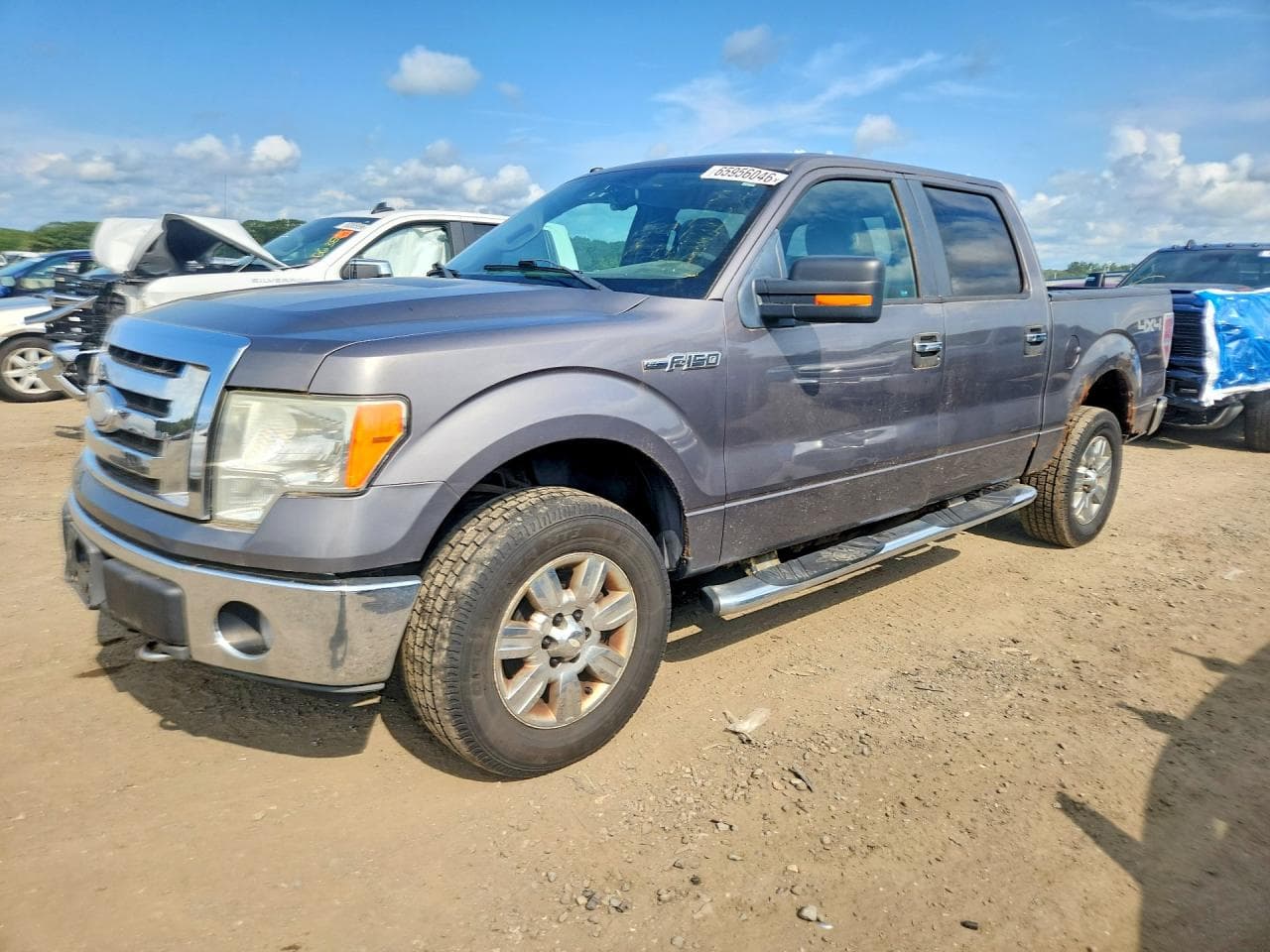 Ford F-150 2009 z USA