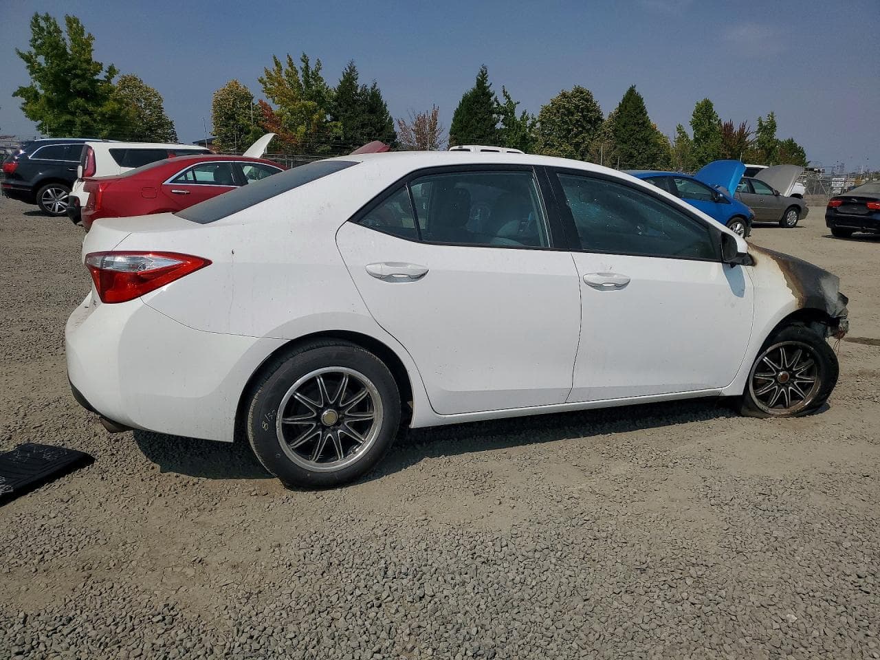 2014 Toyota Corolla Le - foto 3