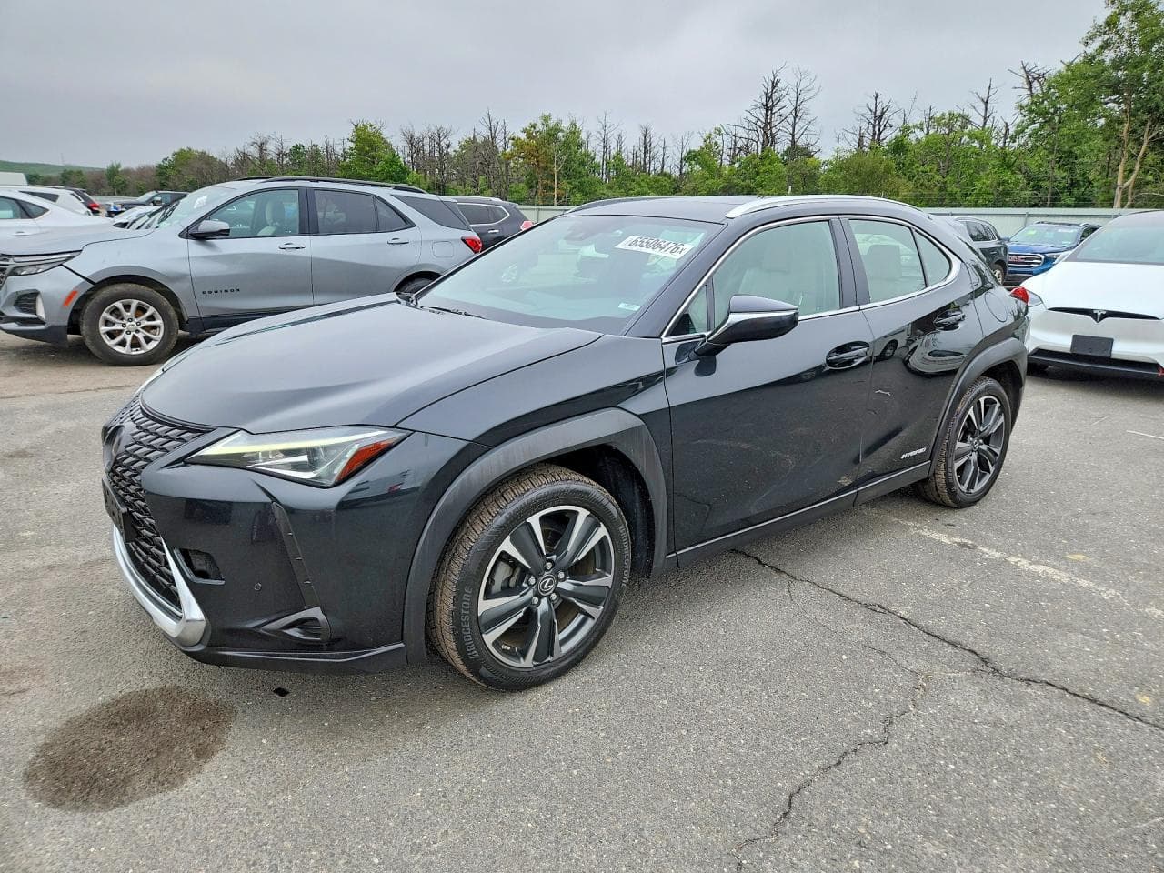 2019 Lexus Ux 250H