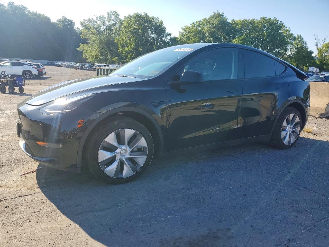Tesla Model Y 2023 z USA