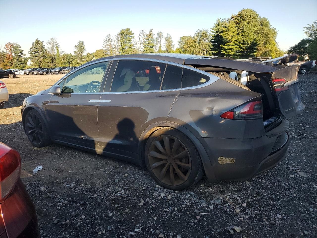 2016 Tesla Model X - foto 2
