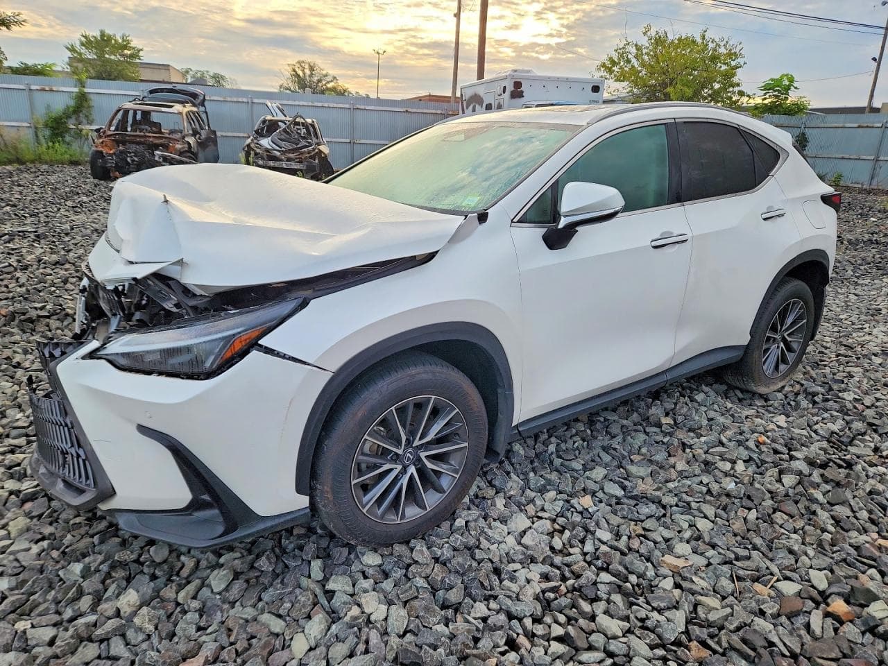 Lexus NX 2025 z USA