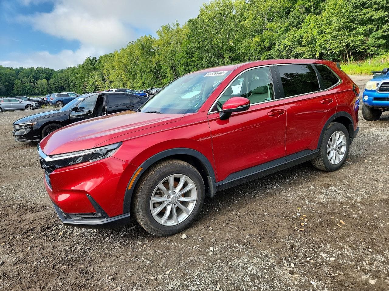 2024 Honda Cr-V Exl