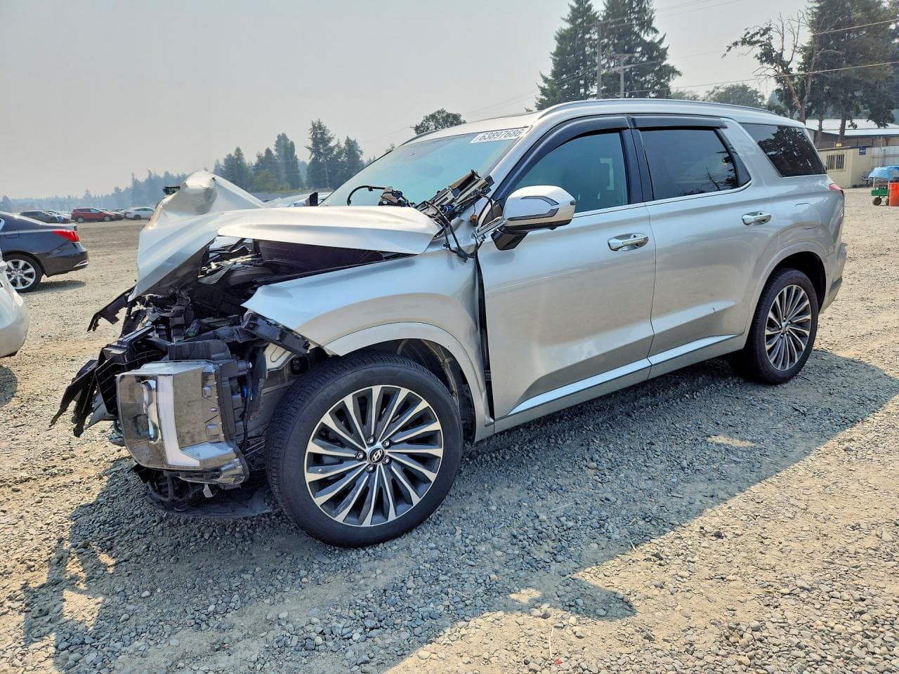 Hyundai Palisade 2024 z USA