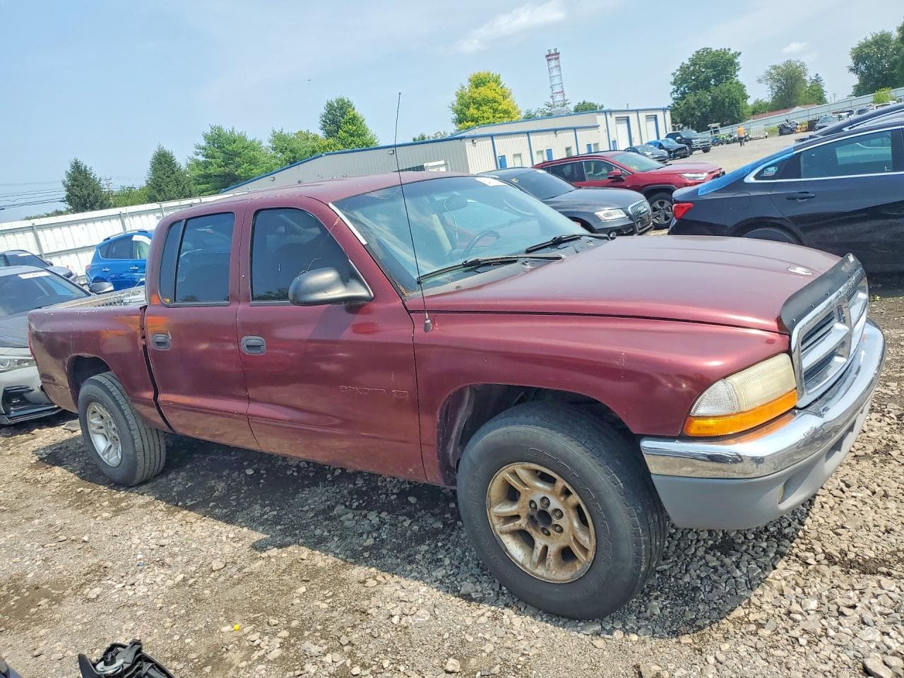 2001 Dodge Dakota Quad - foto 4