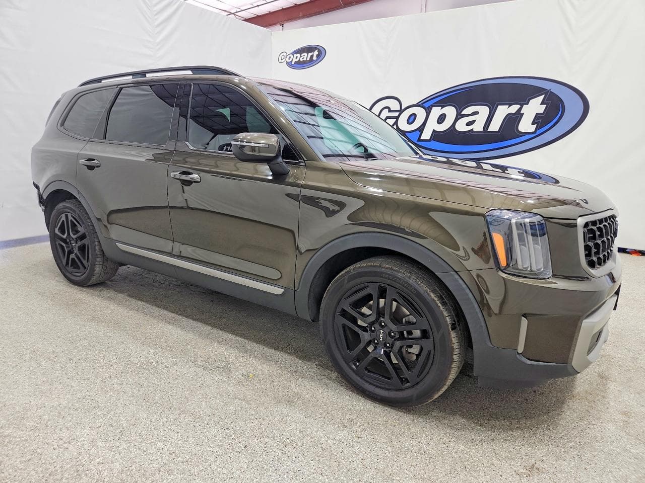 2023 Kia Telluride Ex X-Line - foto 4