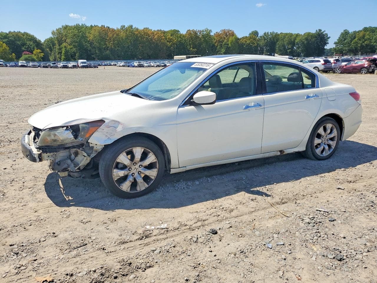 2009 Honda Accord Exl