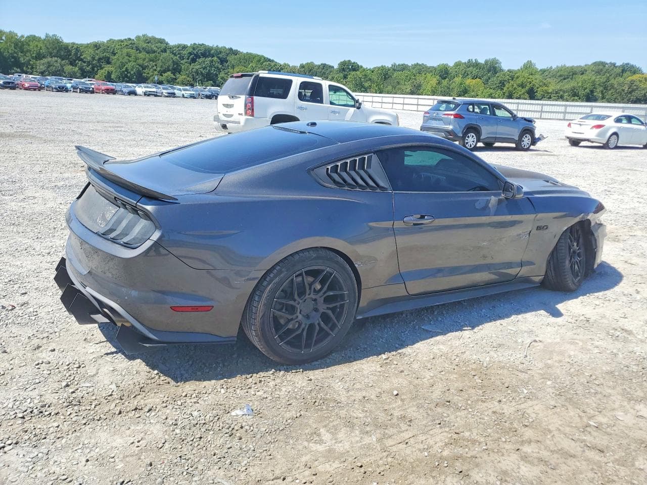 2019 Ford Mustang Gt - foto 3