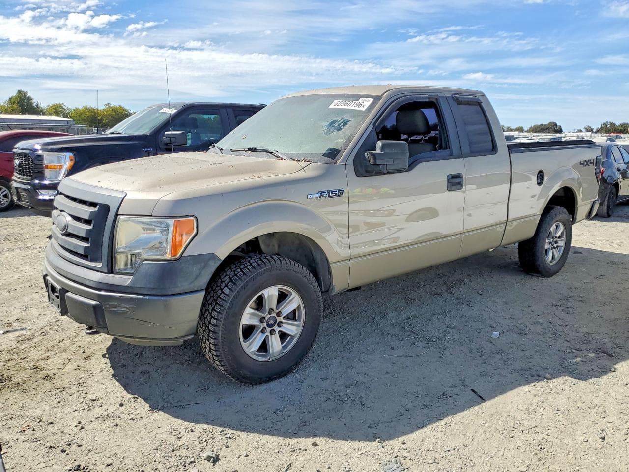 Ford F-150 2009 z USA