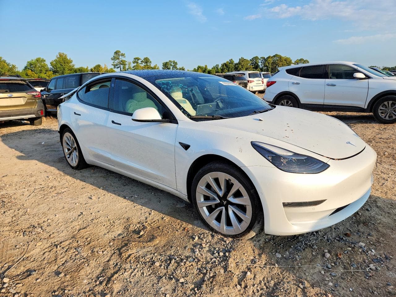 2021 Tesla Model 3 - foto 4
