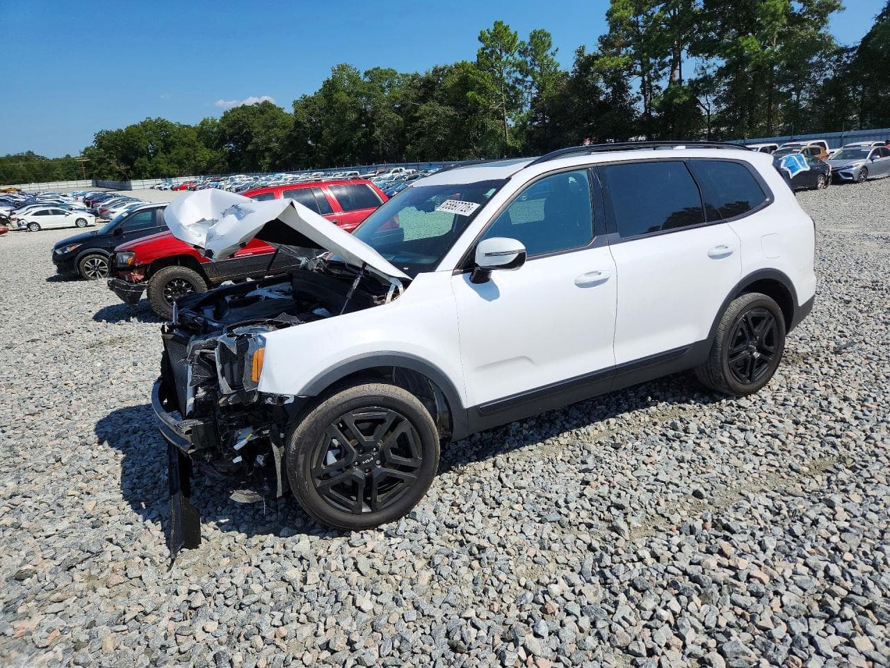 2024 Kia Telluride Sx-Prestige X-Line