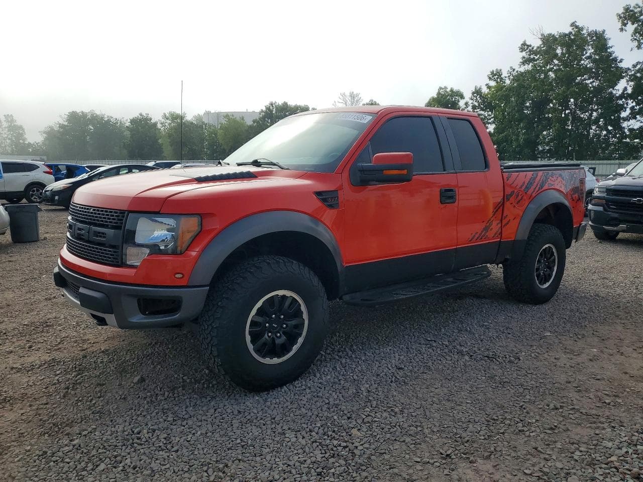Ford F-150 2010 z USA