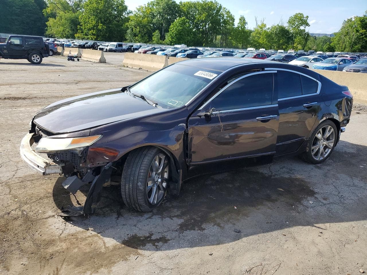 Acura TL 2010 z USA