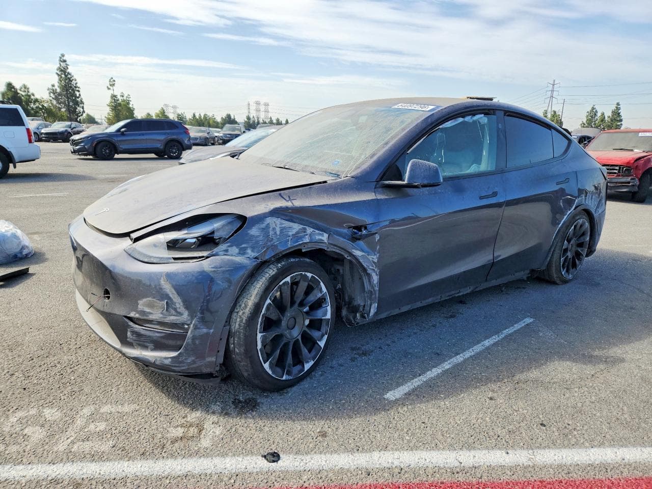 Tesla Model Y 2023 z USA