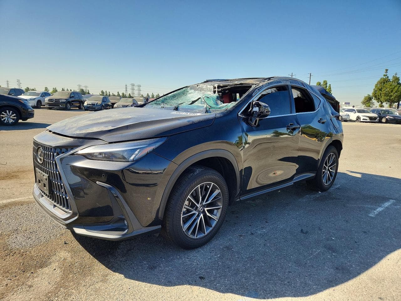 Lexus NX 2025 z USA