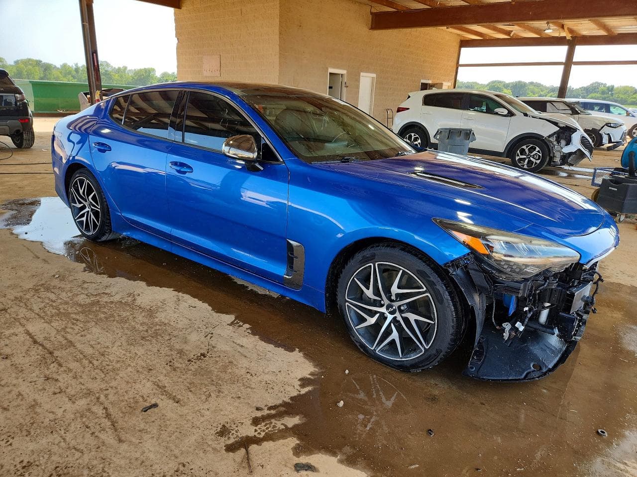 2022 Kia Stinger Gt Line - foto 4