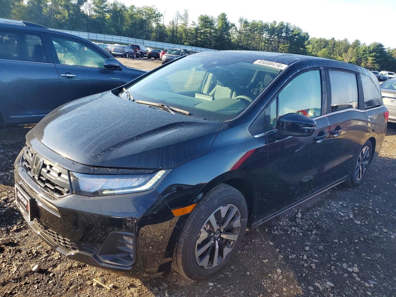Honda Odyssey 2026 z USA
