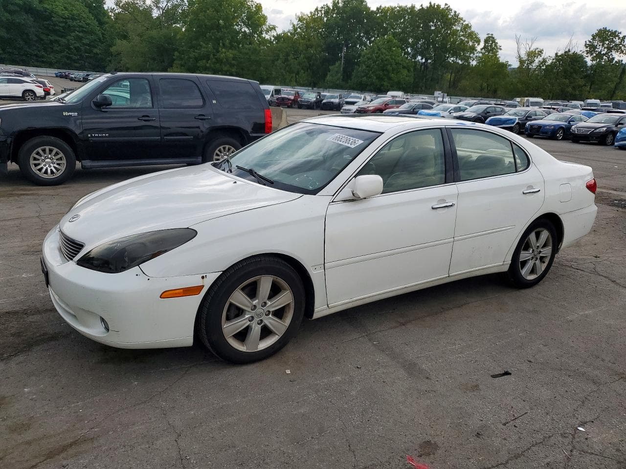 Lexus ES 2005 z USA
