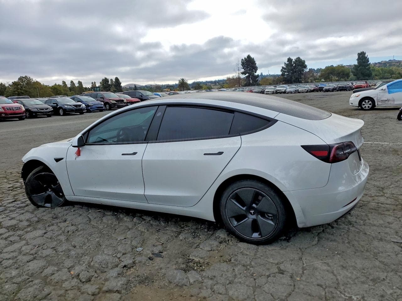 2023 Tesla Model 3 - foto 2
