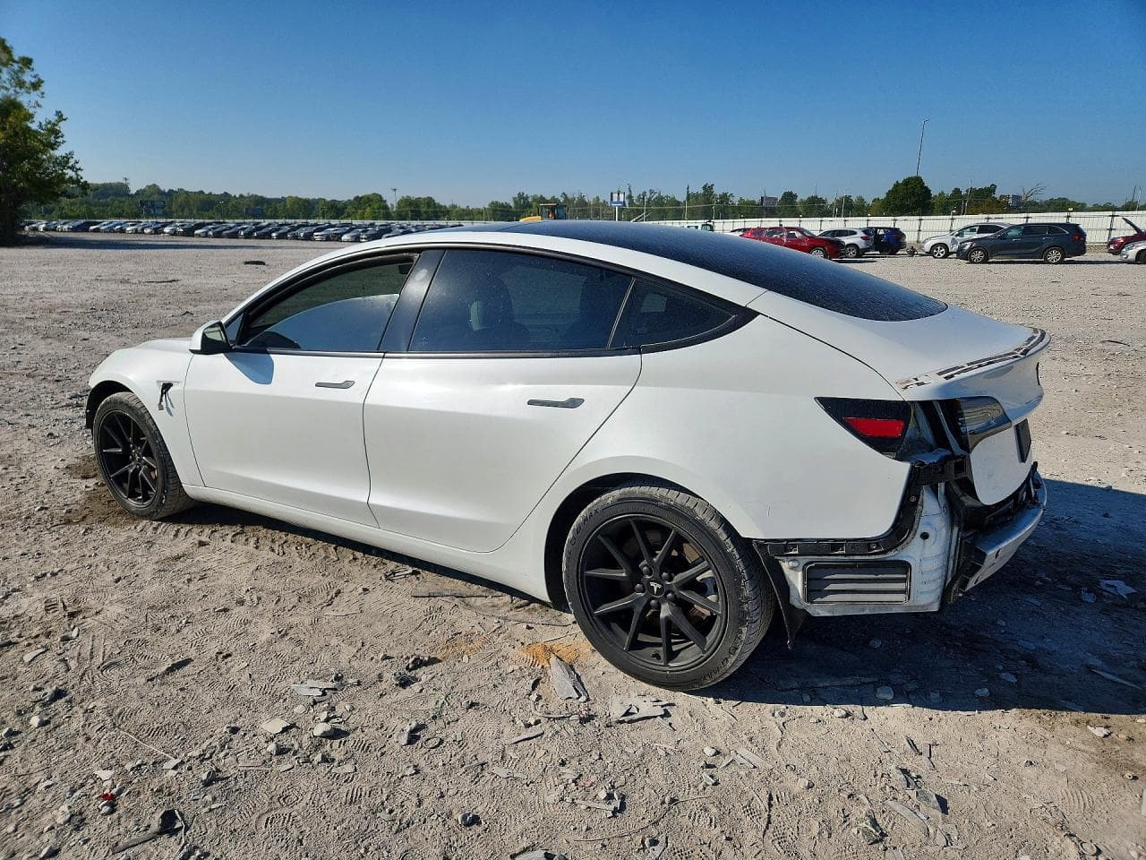 2021 Tesla Model 3 - foto 2
