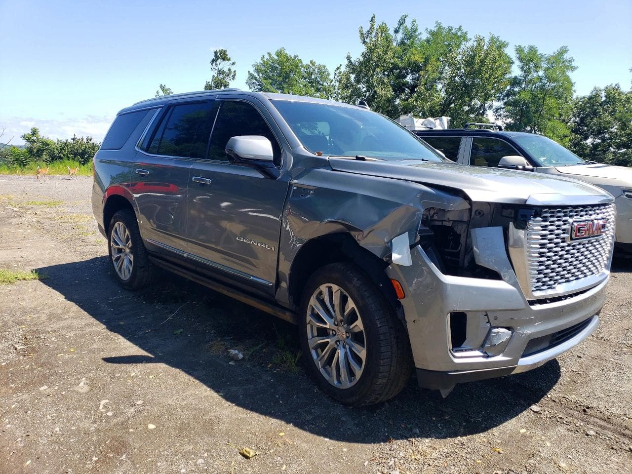 2024 GMC Yukon Denali - foto 4