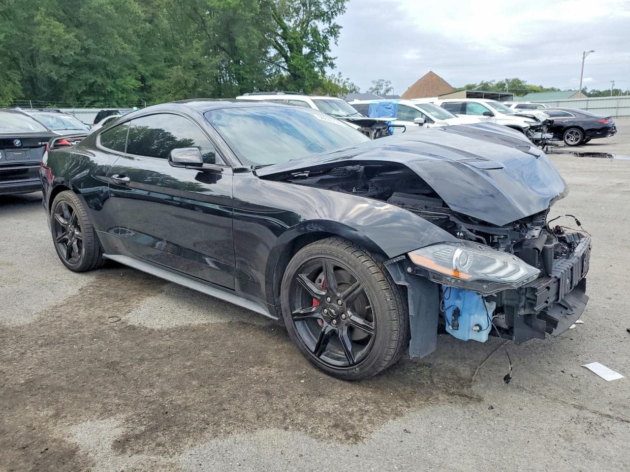 2019 Ford Mustang Gt - foto 4