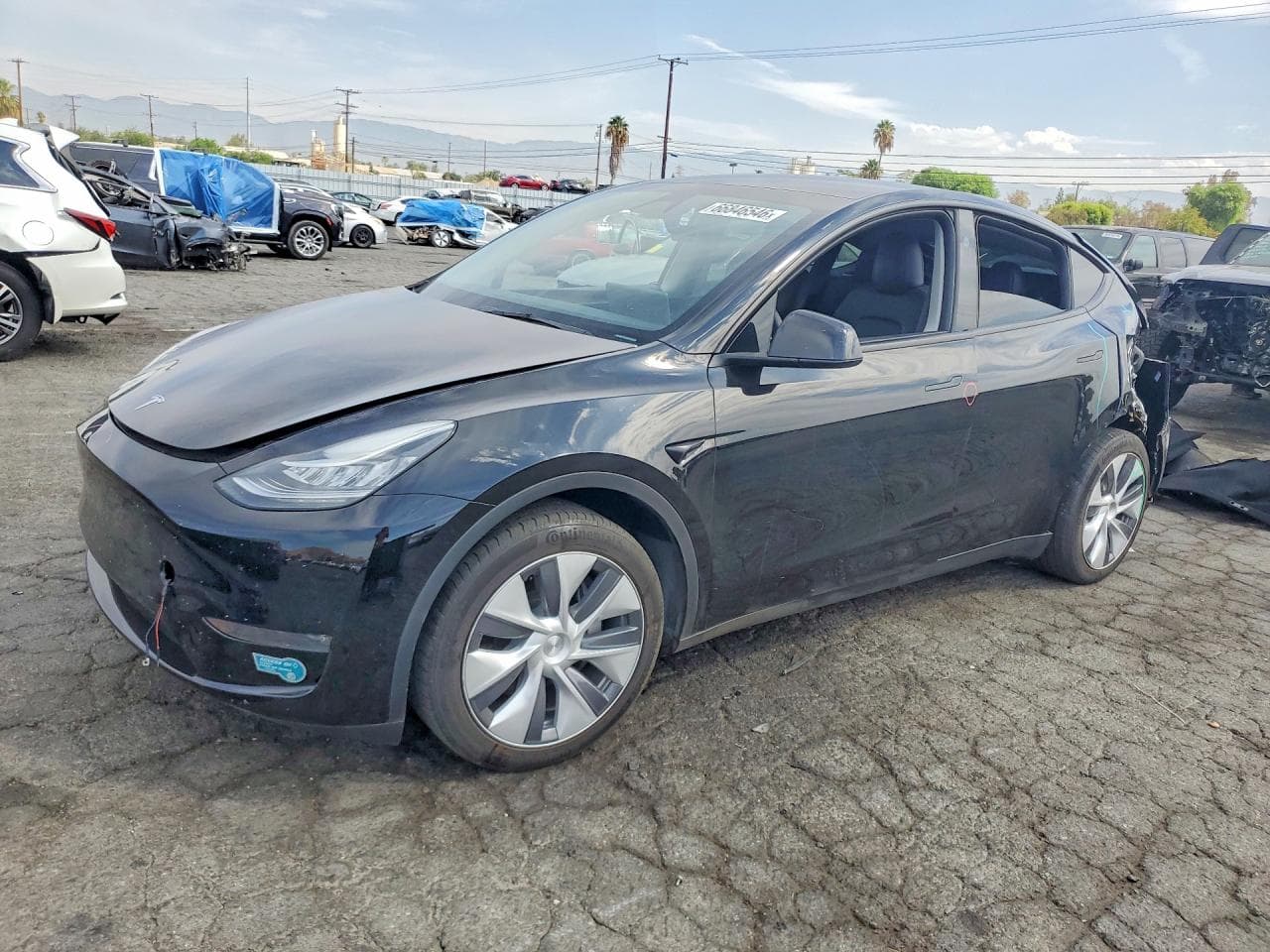 Tesla Model Y 2023 z USA