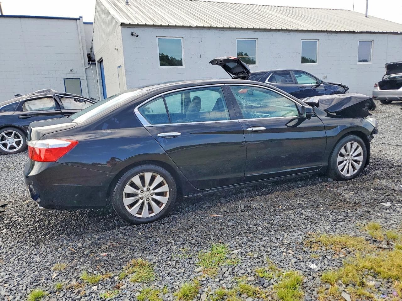 2013 Honda Accord Ex - foto 3