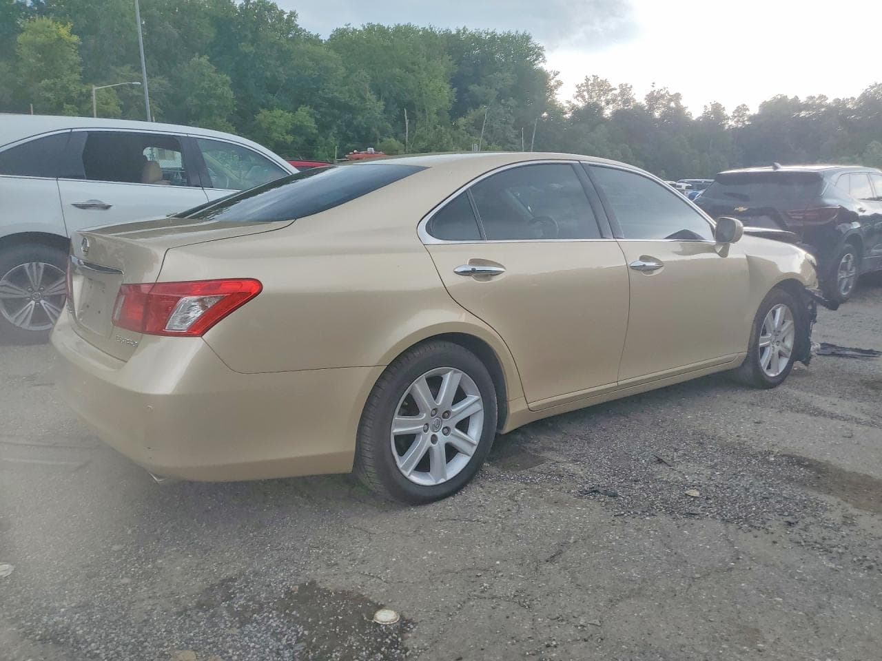 2009 Lexus Es 350 - foto 3