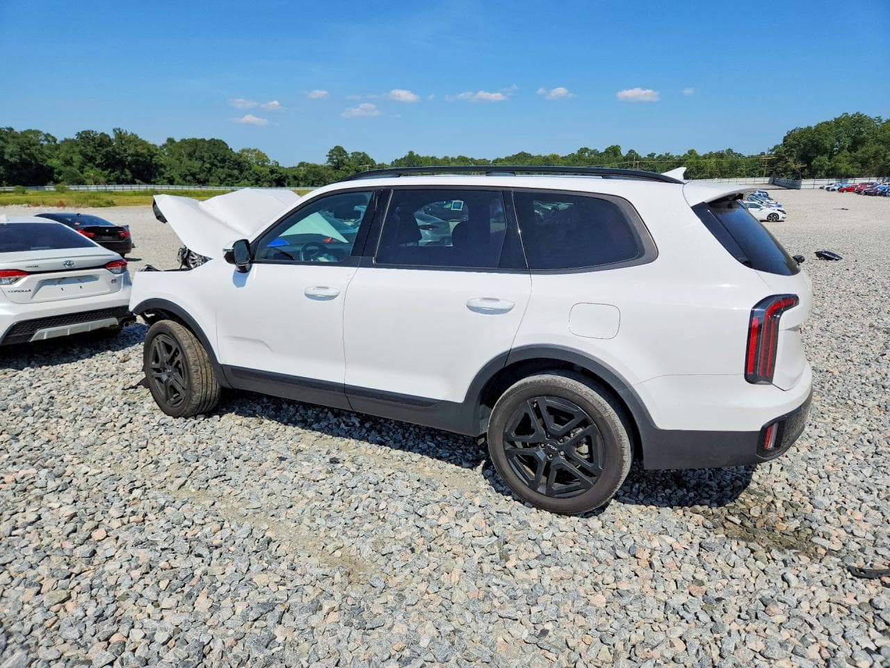 2024 Kia Telluride Sx-Prestige X-Line - foto 2