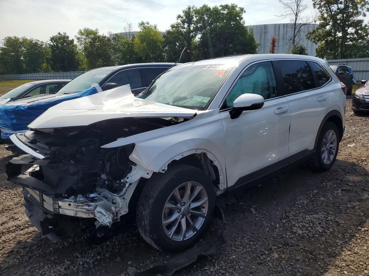 Honda CR-V 2024 z USA