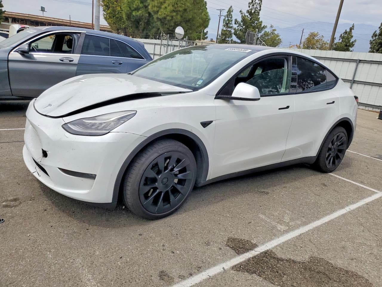 Tesla Model Y 2023 z USA
