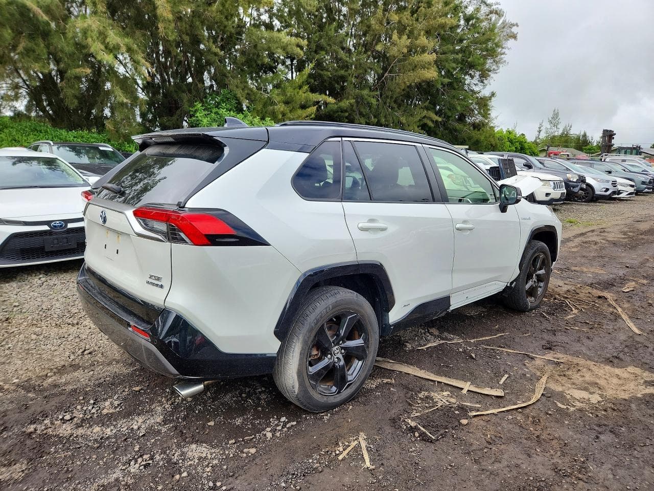 2020 Toyota Rav4 Xse - foto 3