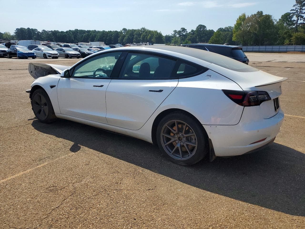 2021 Tesla Model 3 - foto 2