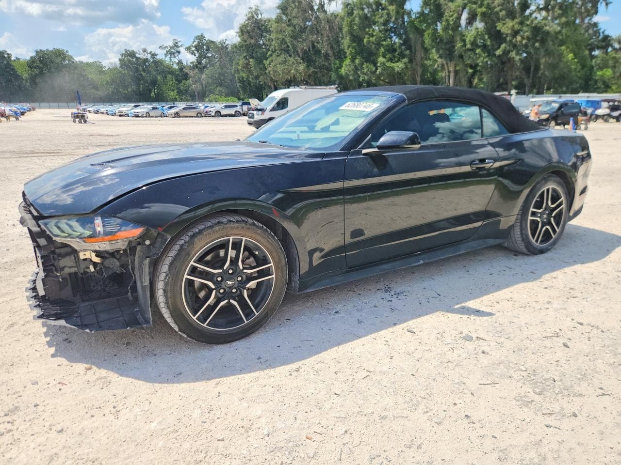 2019 Ford Mustang Cobra